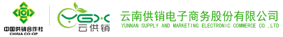 XPJ(中国区)电子商务股份有限公司